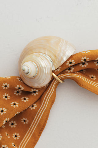 Shell Brooch