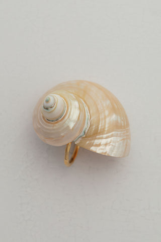 Shell Brooch